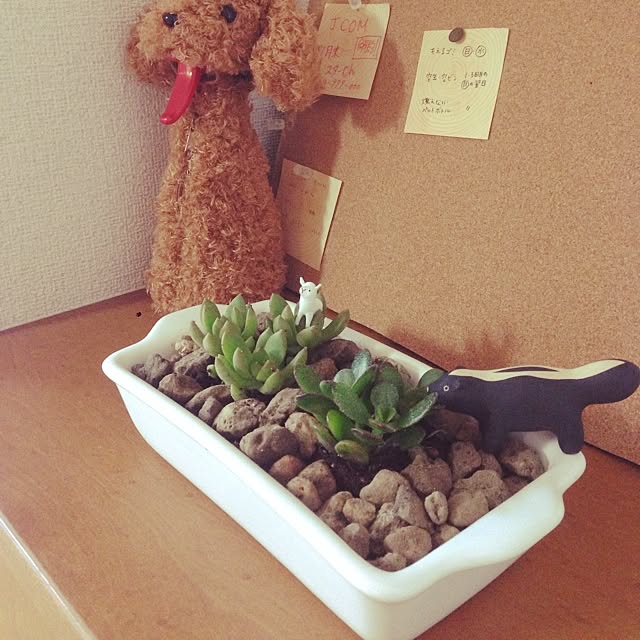 shirokinaさんの実例写真