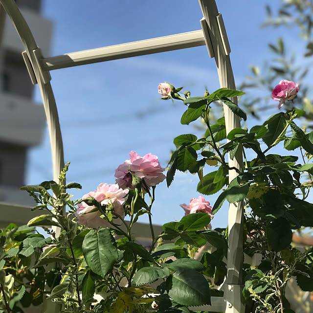 hideさんの実例写真