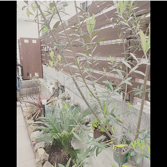 mokoさんの実例写真