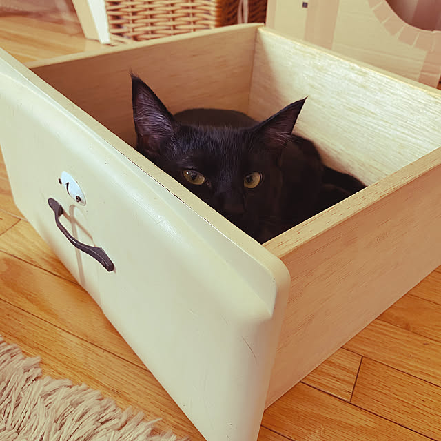 MIHOさんの実例写真