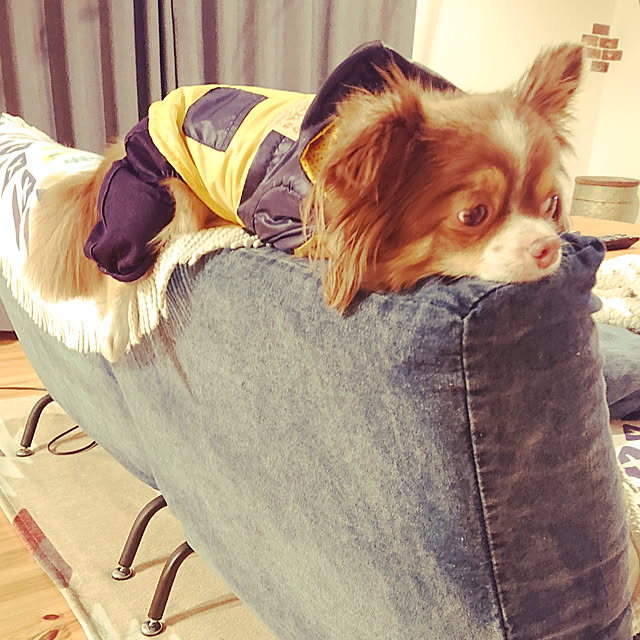 a.s.t.kさんの実例写真