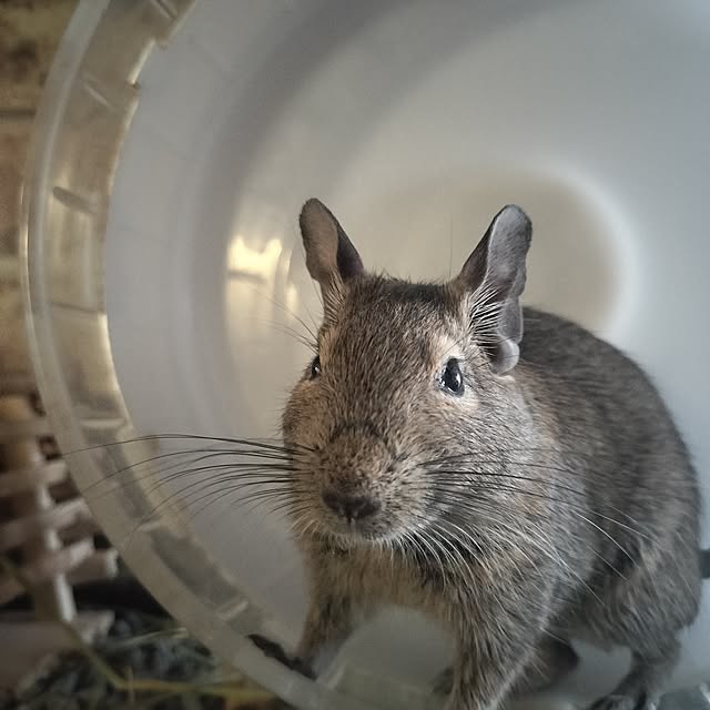 minmiさんの部屋