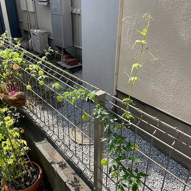 ikuzakさんの実例写真