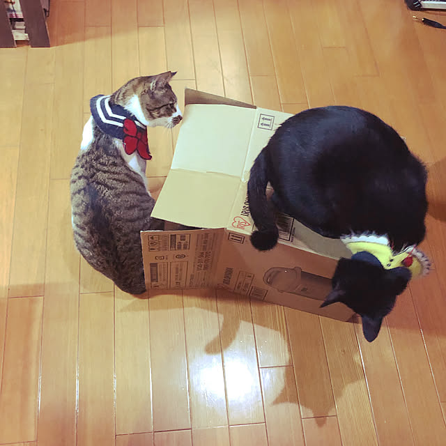 jijiさんの実例写真
