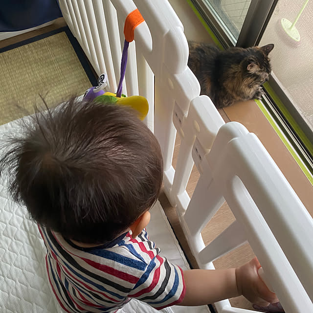 mikomaruさんの実例写真