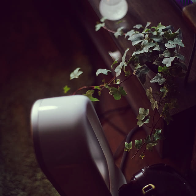 julioさんの実例写真