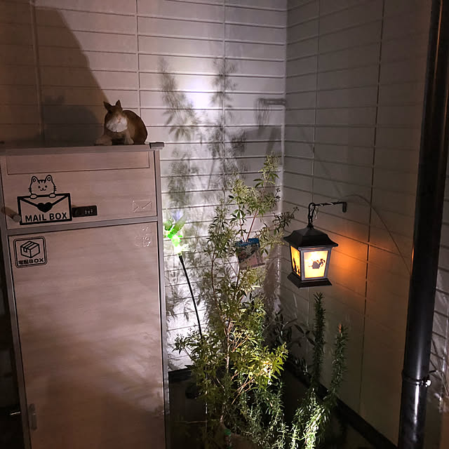 実例写真