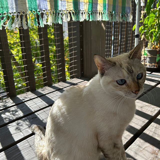 mozukuさんの実例写真