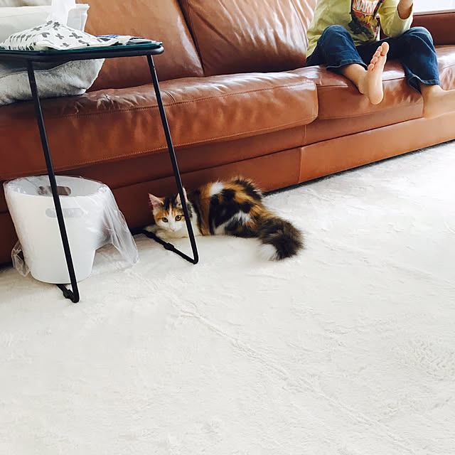 kiichigoさんの実例写真