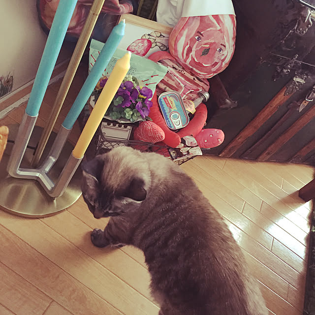 ayasmaさんの実例写真