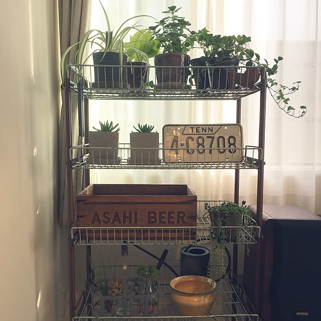 kimieさんの実例写真