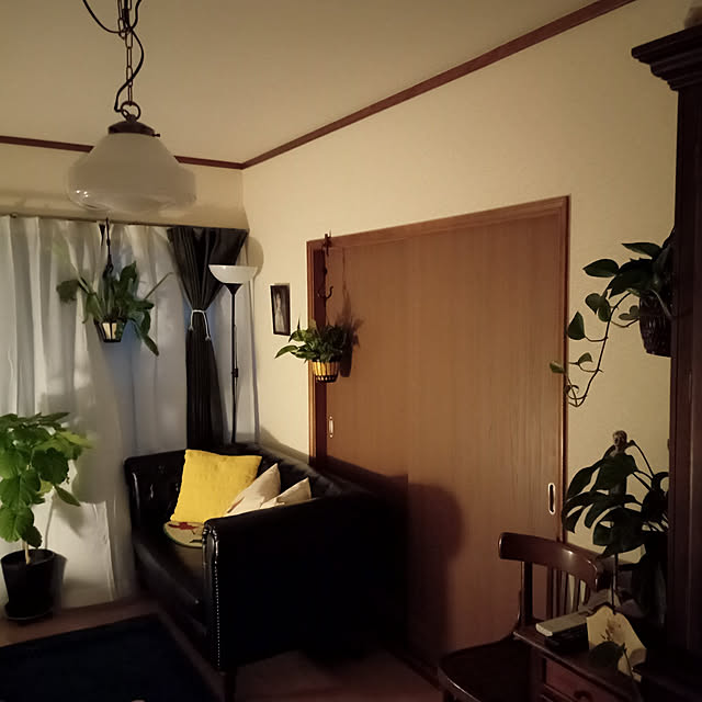 moruさんの実例写真