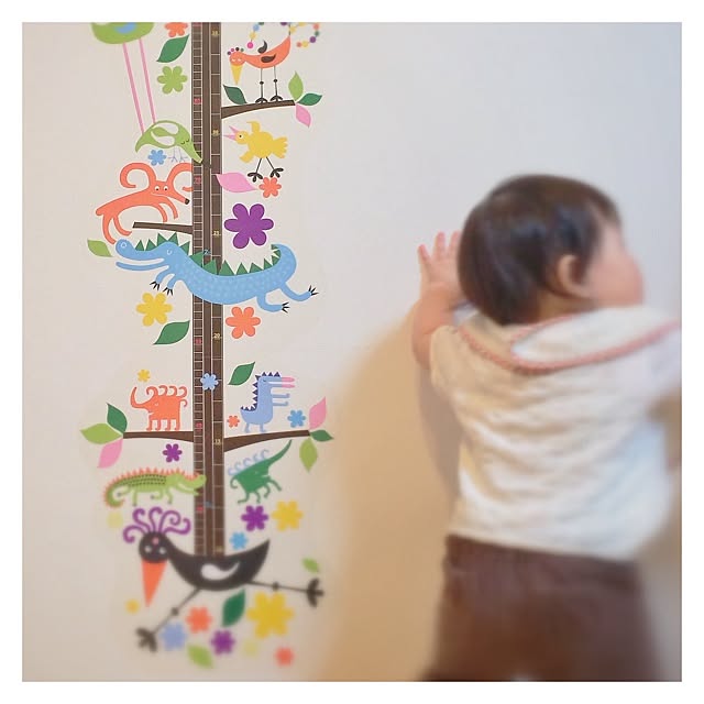 coco_papaさんの実例写真