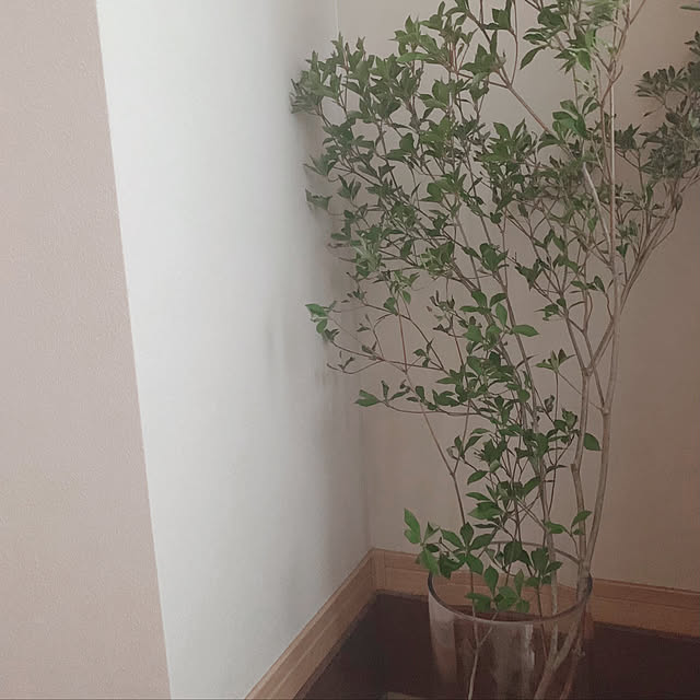 kino021さんの実例写真