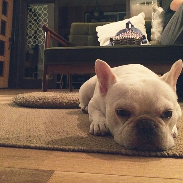 koheyさんの実例写真