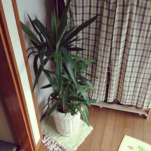 hanaさんの実例写真