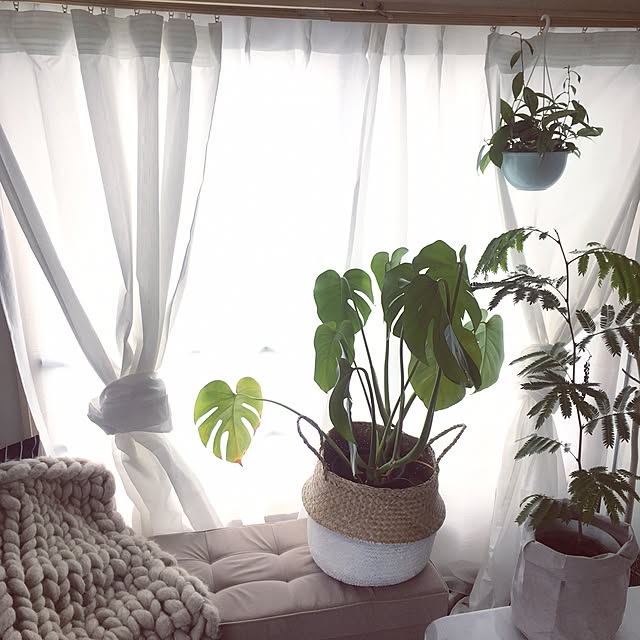 sakielさんの実例写真