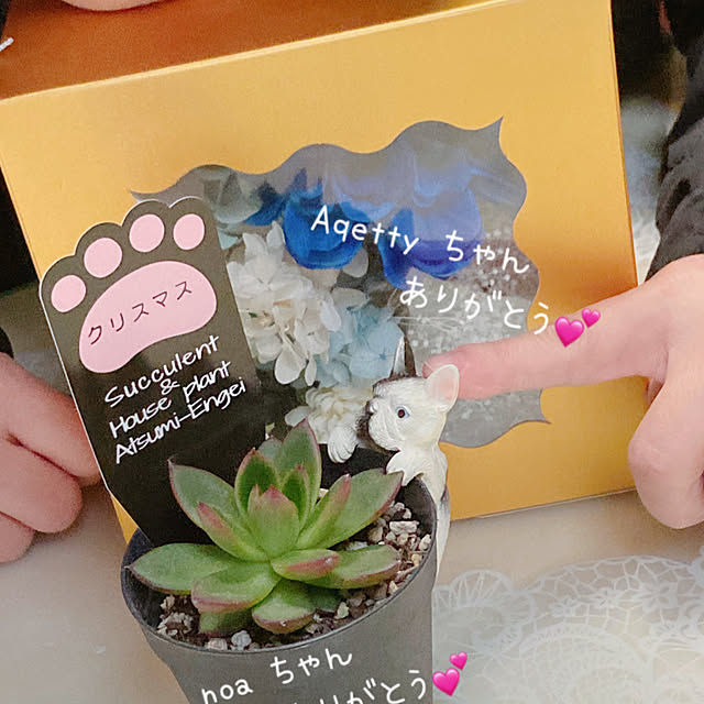 angeliqueさんの部屋