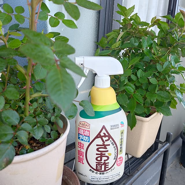 NOAHさんの実例写真