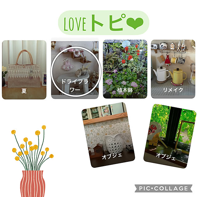 CoCo0617さんの実例写真