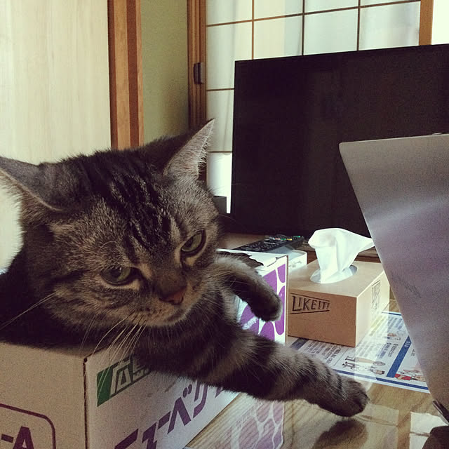 richanさんの実例写真