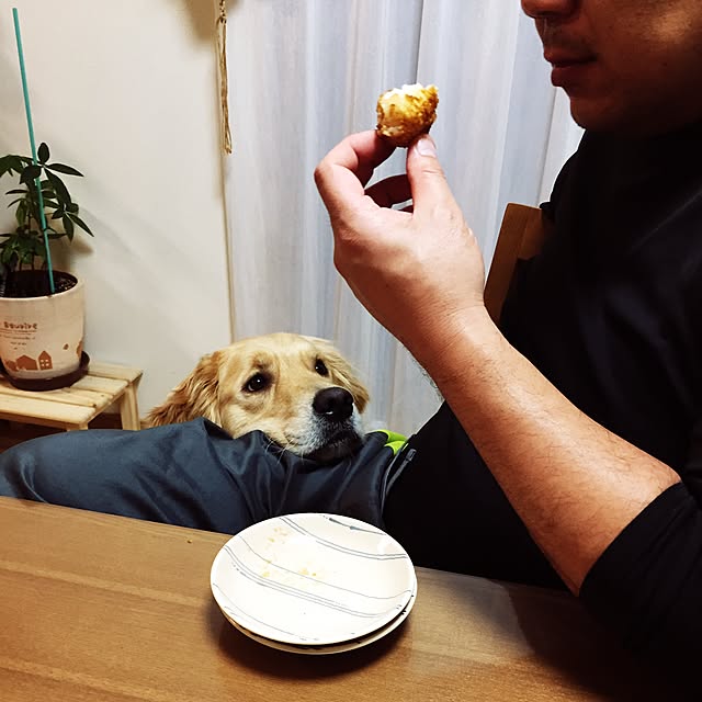 Kazueさんの実例写真