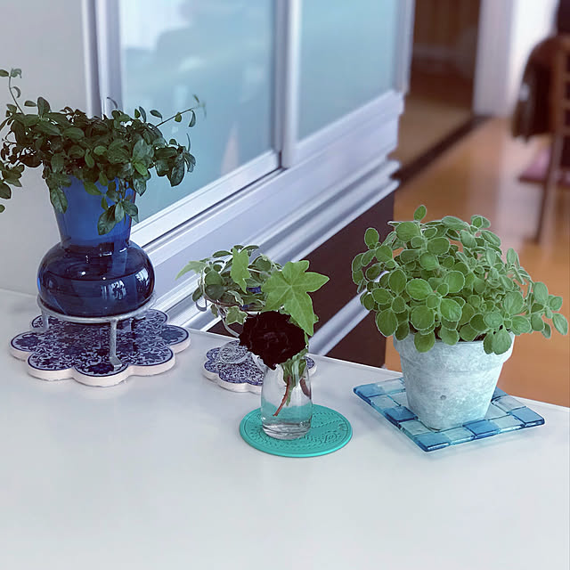 Saraさんの実例写真