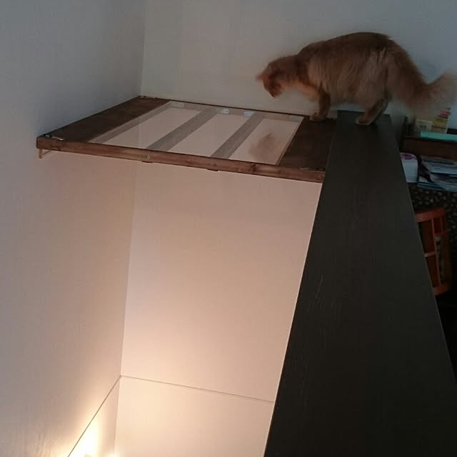 1ldksさんの実例写真