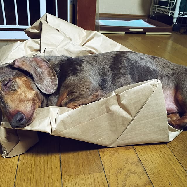 M.E.Gさんの実例写真