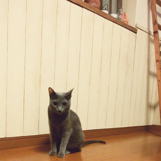 tomo1220さんの実例写真