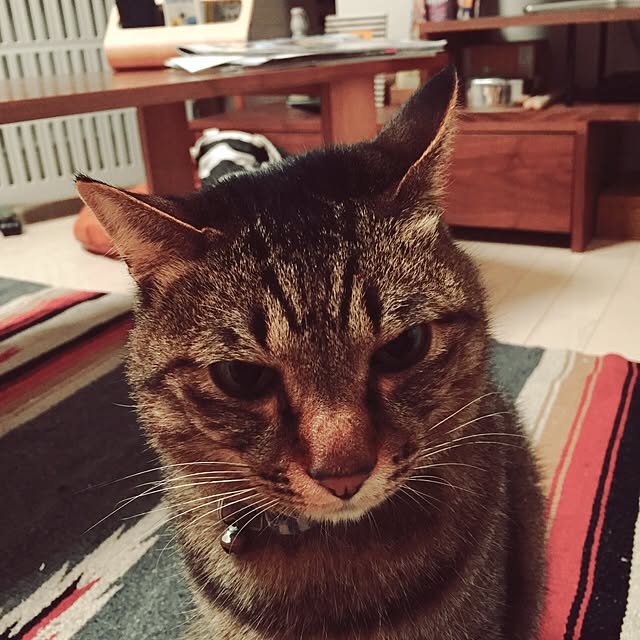 neopipeさんの実例写真
