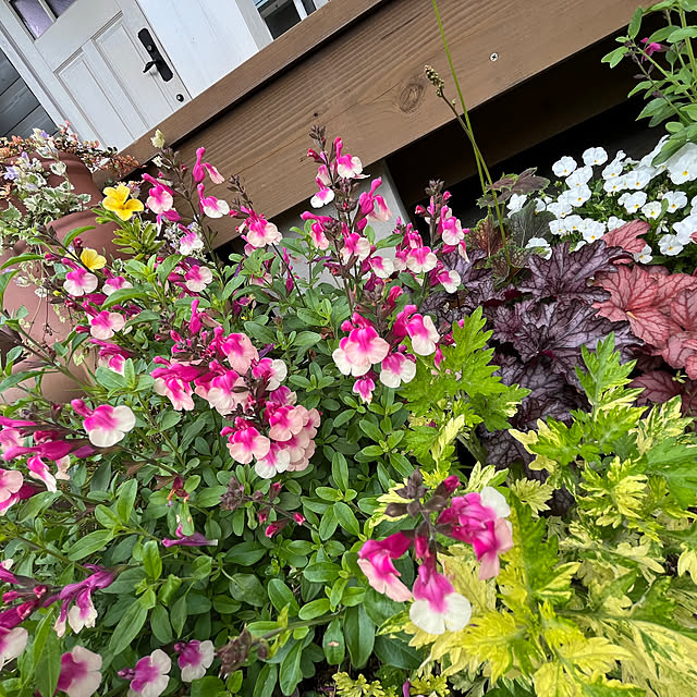 nishimiさんの部屋