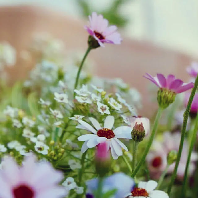 tomoさんの実例写真