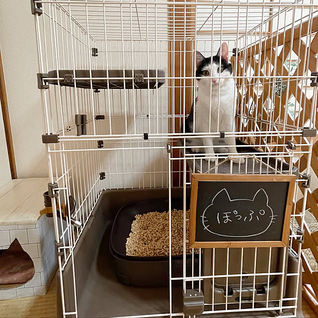 harukaさんの実例写真