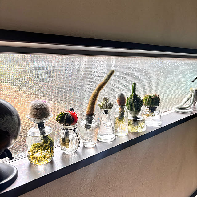 greycatsさんの部屋