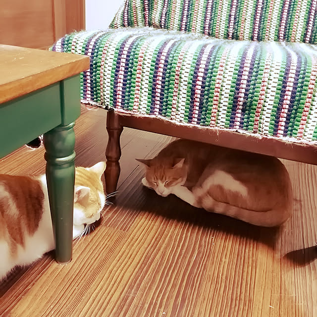 NECO.COさんの実例写真
