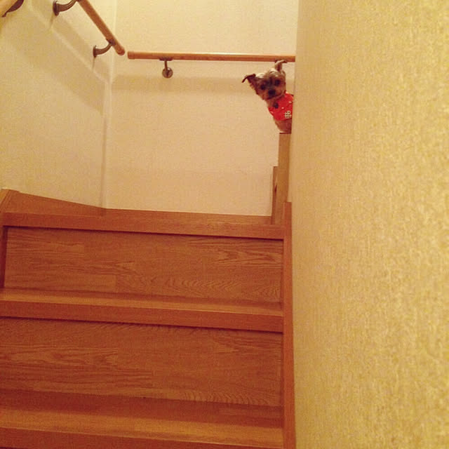 tke_0515_bj.mさんの実例写真
