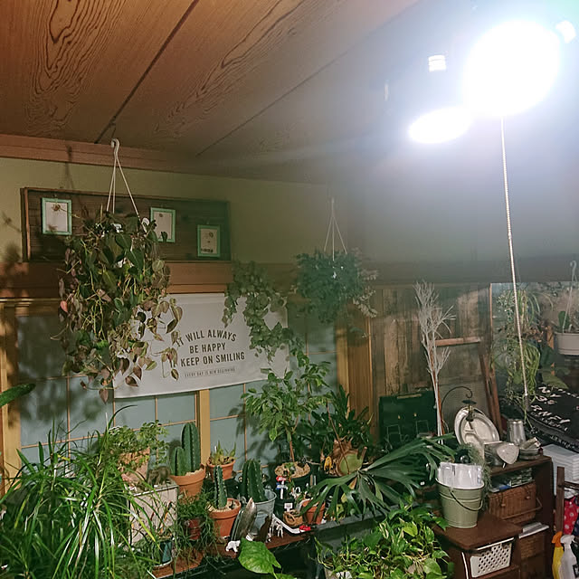 tikuwaさんの実例写真