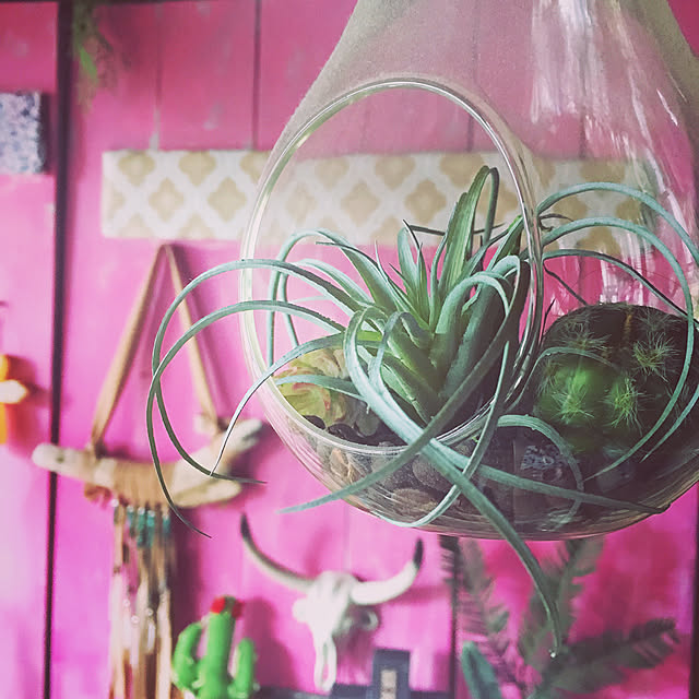 edenさんの実例写真