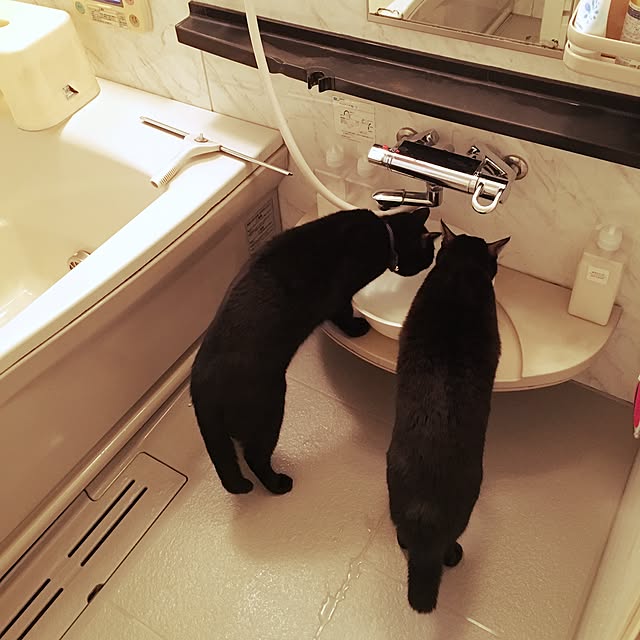 nonoさんの実例写真