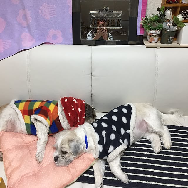 emiさんの実例写真