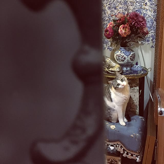 emmyyさんの実例写真