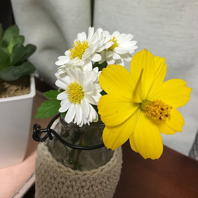 lilyさんの実例写真