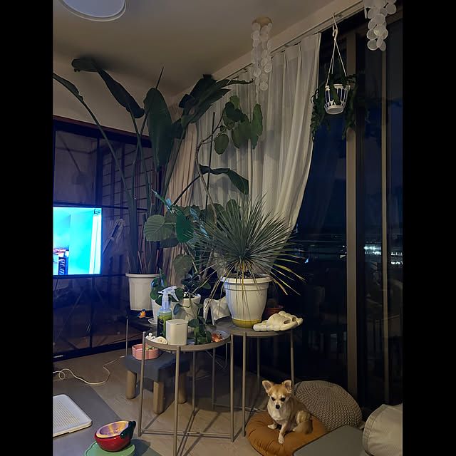 mahalo.n.nさんの実例写真