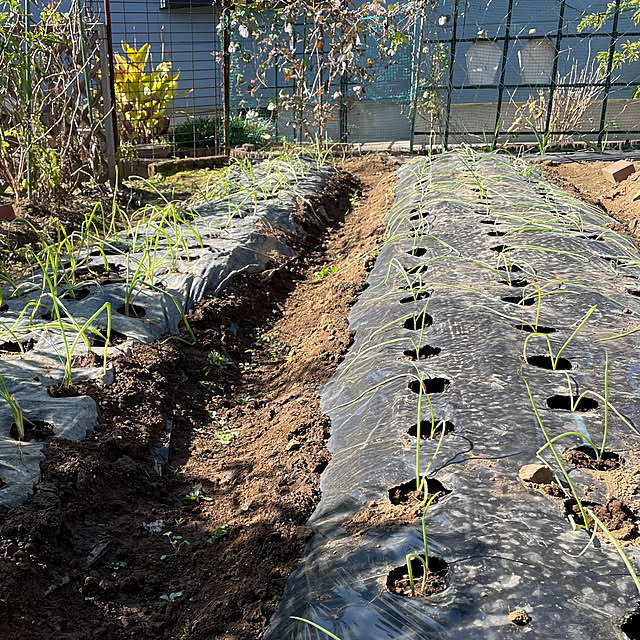 natsumiさんの部屋