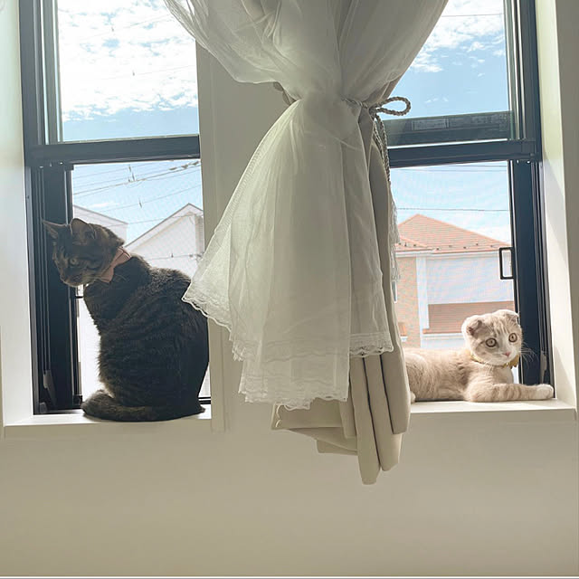 riyucoさんの実例写真