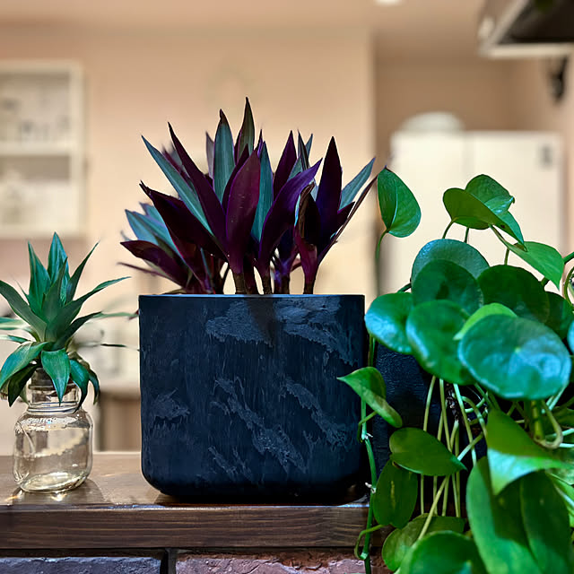 usagiさんの部屋