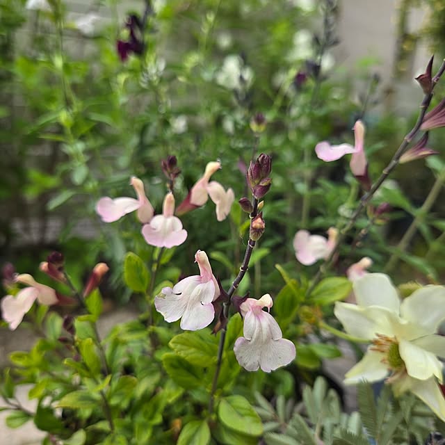 min_nimさんの部屋