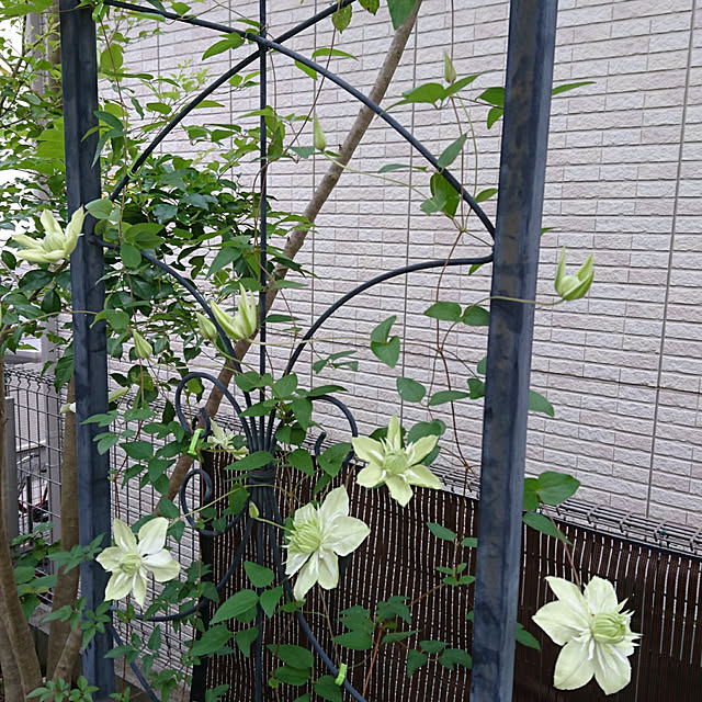 kanamiさんの実例写真