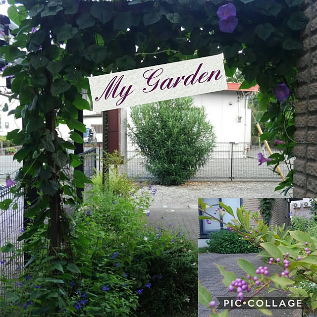 milkann_さんの実例写真